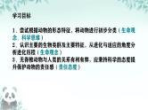 初中  生物  人教版（2024）  七年级上册第一节 无脊椎动物 课件