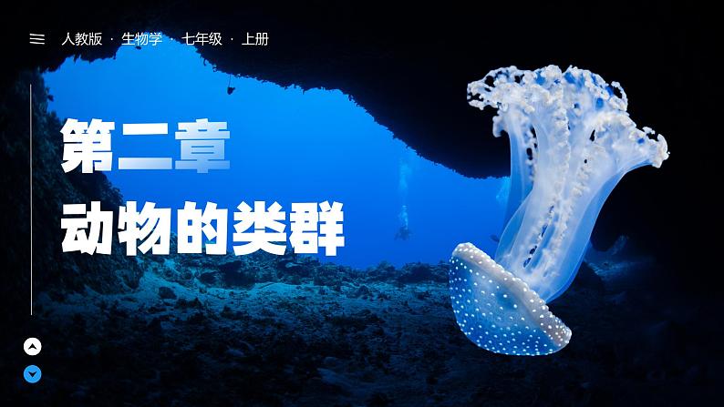 初中  生物  人教版（2024）  七年级上册第一节 无脊椎动物 课件第2页