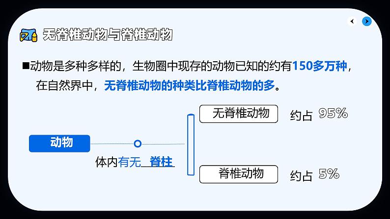 初中  生物  人教版（2024）  七年级上册第一节 无脊椎动物 课件第8页