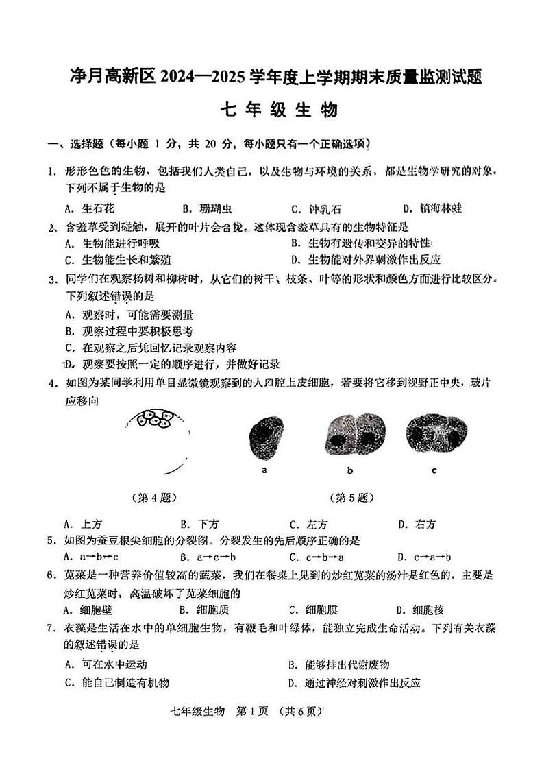 吉林省长春市净月高新区2024-2025学年七年级上学期 生物期末试卷第1页