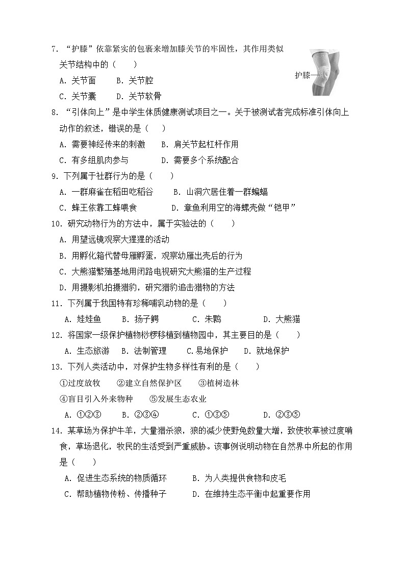 福建省泉州市泉州科技中学2024-2025学年八年级上学期期中考试生物试题第2页