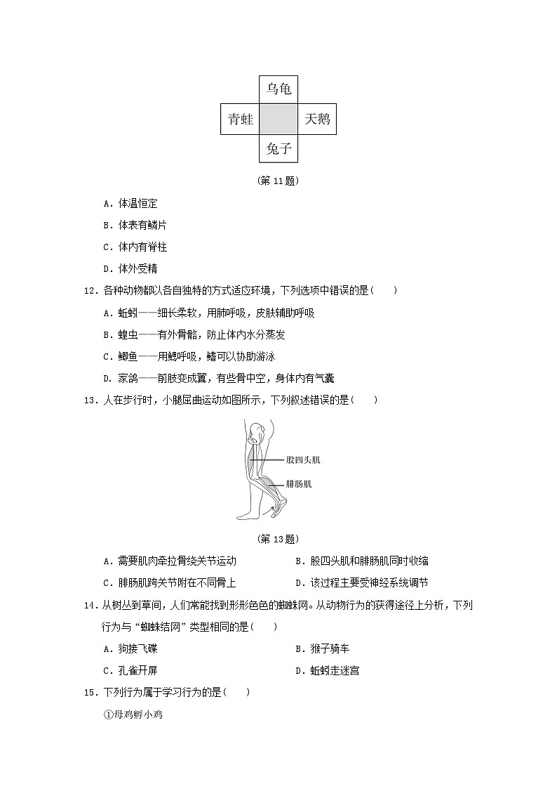 福建省2024八年级生物上学期期中学情评估试卷（附答案人教版）第3页