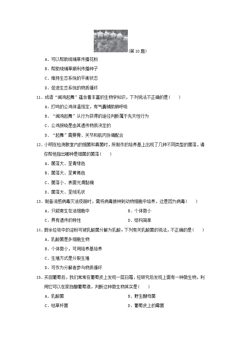 2024八年级生物上学期期末学情评估试卷（附答案人教版）第3页