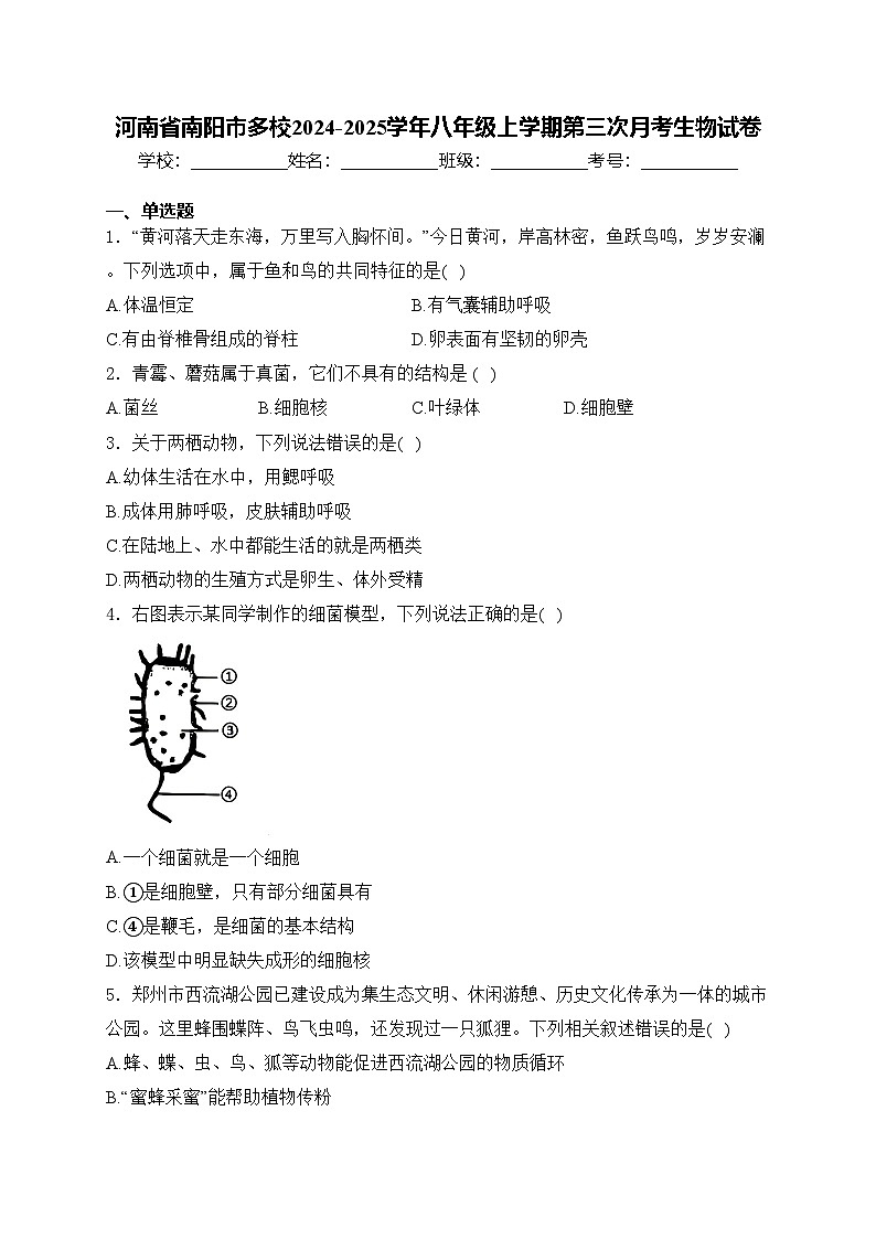 河南省南阳市多校2024-2025学年八年级上学期第三次月考生物试卷(含答案)第1页