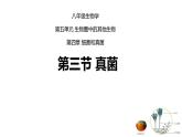 八年级上册生物人教版《真菌》课件