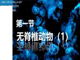初中  生物  人教版（2024）  七年級(jí)上冊(cè)（2024）第一節(jié) 無(wú)脊椎動(dòng)物 課件