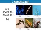 初中  生物  人教版（2024）  七年級(jí)上冊(cè)（2024）第一節(jié) 無(wú)脊椎動(dòng)物 課件