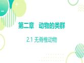 初中  生物  人教版（2024）  七年級(jí)上冊(cè)（2024）第一節(jié) 無(wú)脊椎動(dòng)物 課件