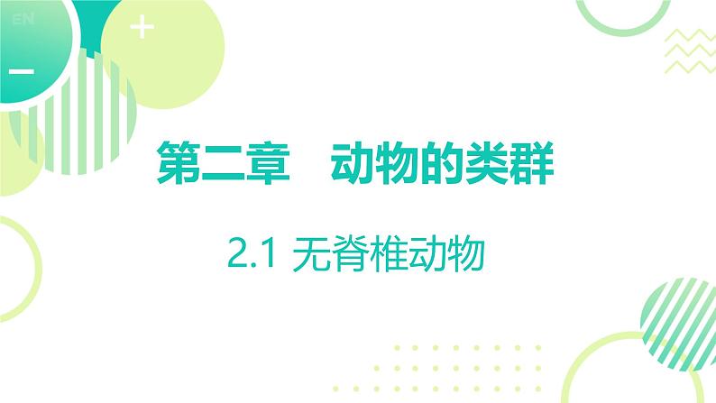 初中  生物  人教版（2024）  七年级上册（2024）第一节 无脊椎动物 课件第1页