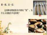 初中  生物  人教版（2024）  七年級(jí)上冊(cè)（2024）第一節(jié) 無(wú)脊椎動(dòng)物 課件