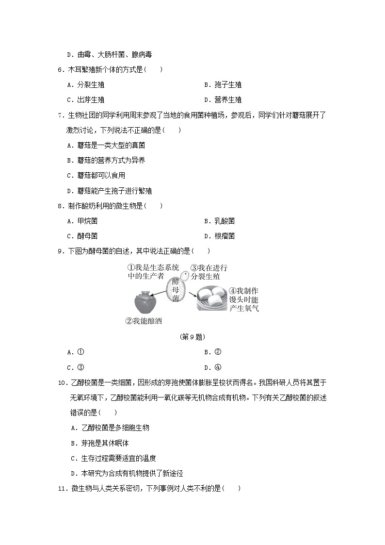 福建省2024八年级生物上册第五单元生物圈中的其他生物第四五章学情评估试卷（附答案人教版）第2页