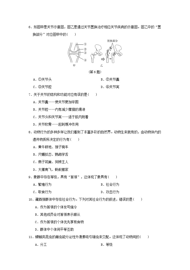 福建省2024八年级生物上册第五单元生物圈中的其他生物第二三章学情评估试卷（附答案人教版）第2页