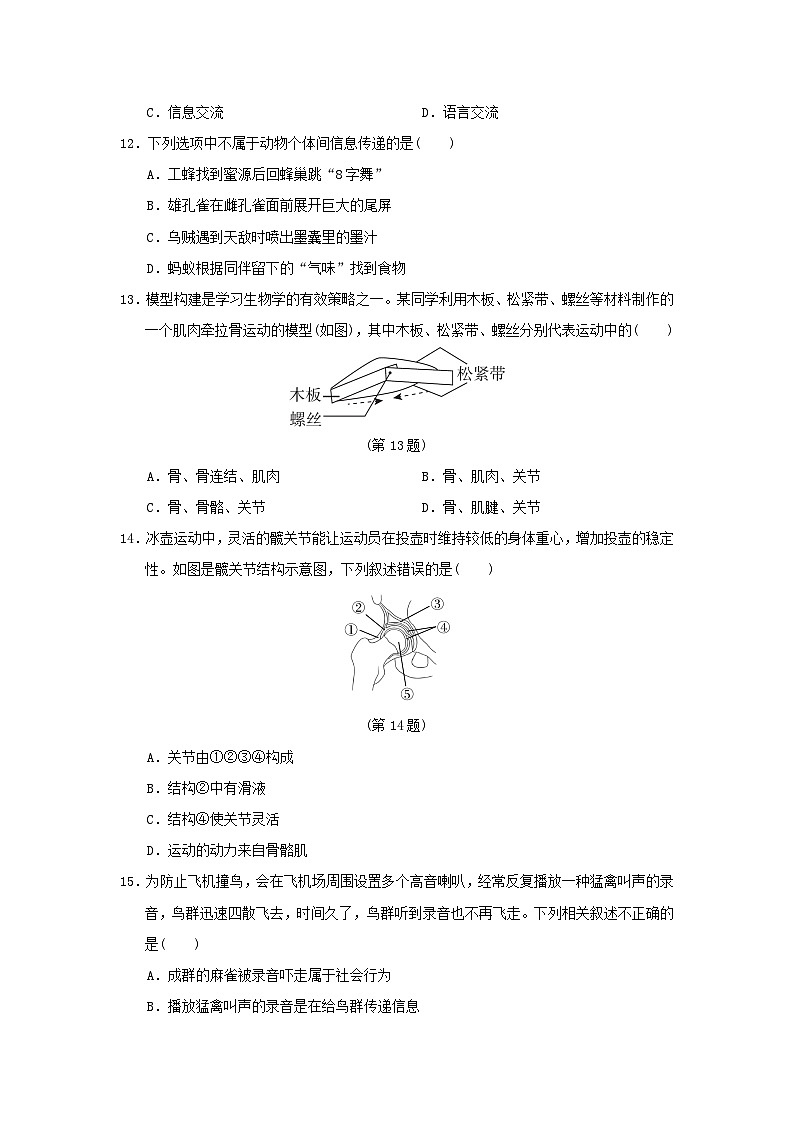 福建省2024八年级生物上册第五单元生物圈中的其他生物第二三章学情评估试卷（附答案人教版）第3页