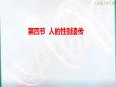 八年级下册生物人教版《人的性别遗传 》课件