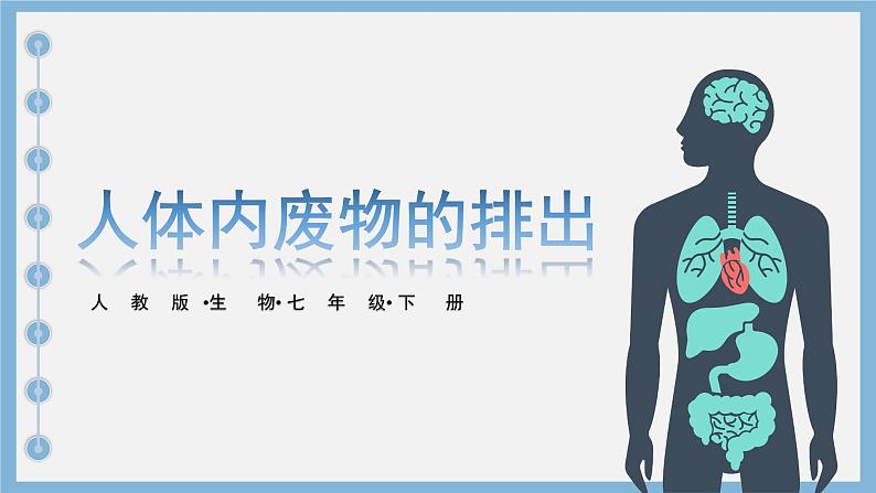 初中生物人教版七年级下册《人体内废物的排出》课件第1页