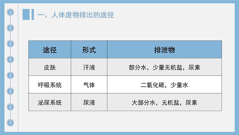 初中生物人教版七年级下册《人体内废物的排出》课件第4页