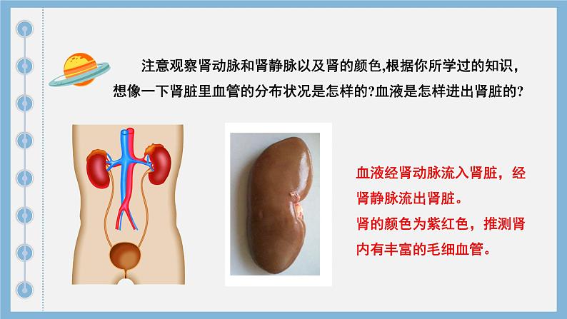 初中生物人教版七年级下册《人体内废物的排出》课件第6页