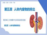 初中生物人教版七年级下册《人体内废物的排出》课件