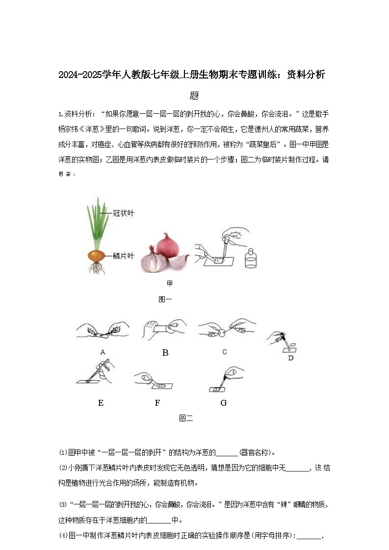 2024-2025学年人教版七年级上册生物期末专题训练：资料分析题（含答案）第1页