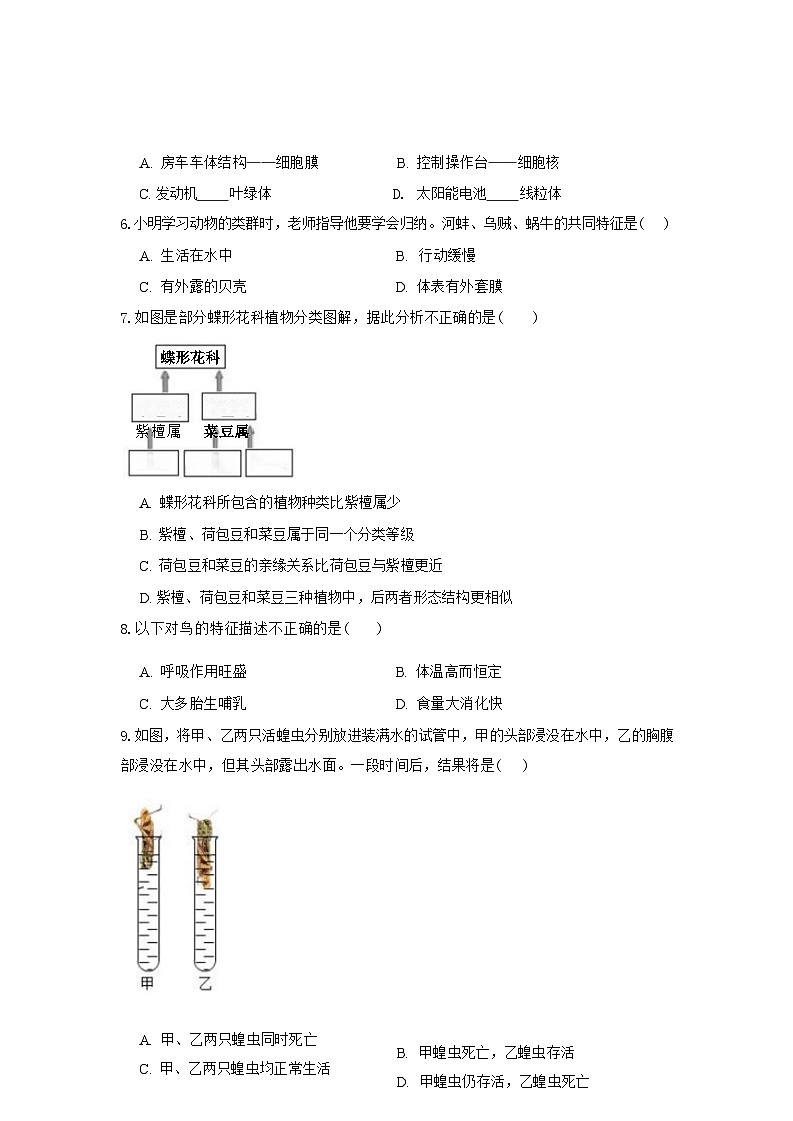 2024-2025学年人教版七年级上册生物期末专题训练：选择题100题（含答案）第2页