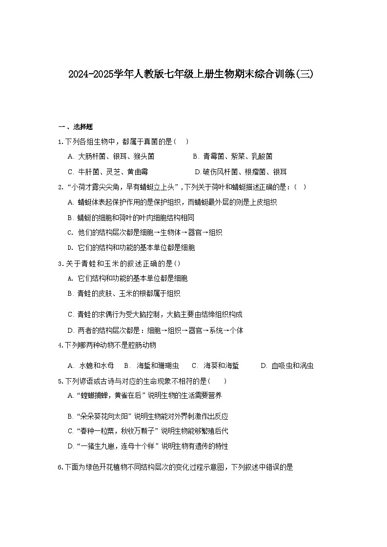 2024-2025学年人教版七年级上册生物期末综合训练（三）（含答案）第1页