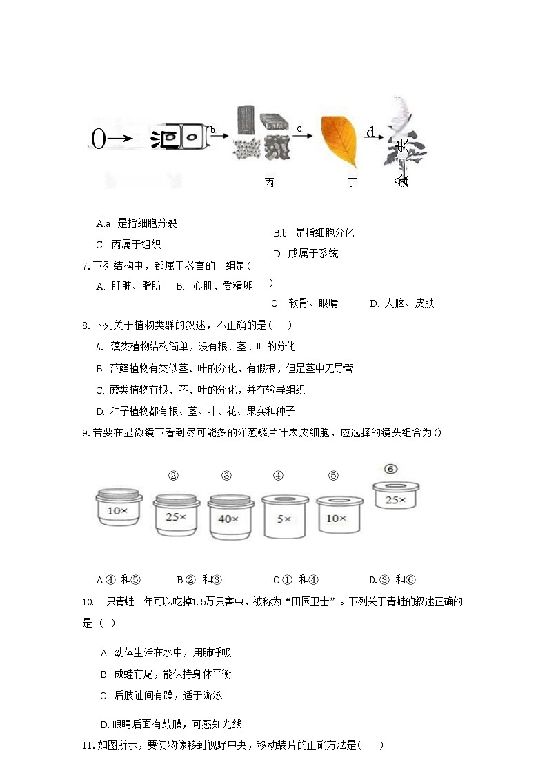 2024-2025学年人教版七年级上册生物期末综合训练（三）（含答案）第2页