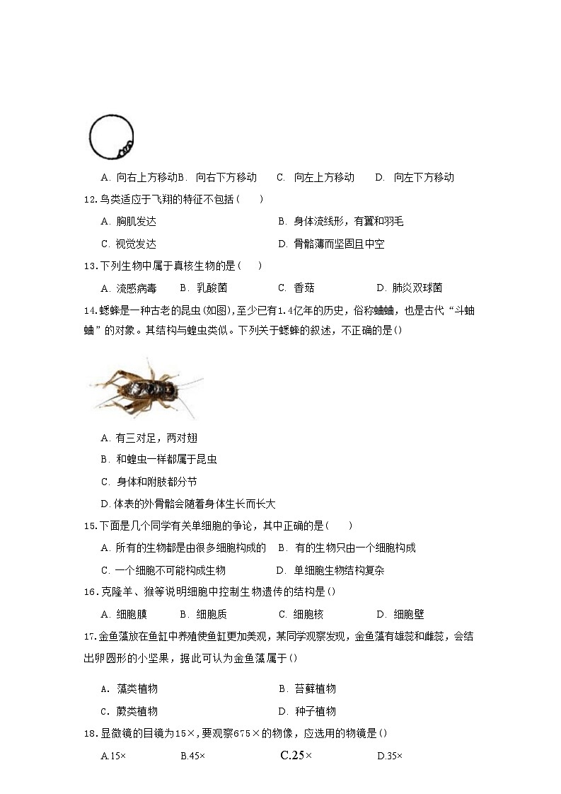 2024-2025学年人教版七年级上册生物期末综合训练（三）（含答案）第3页