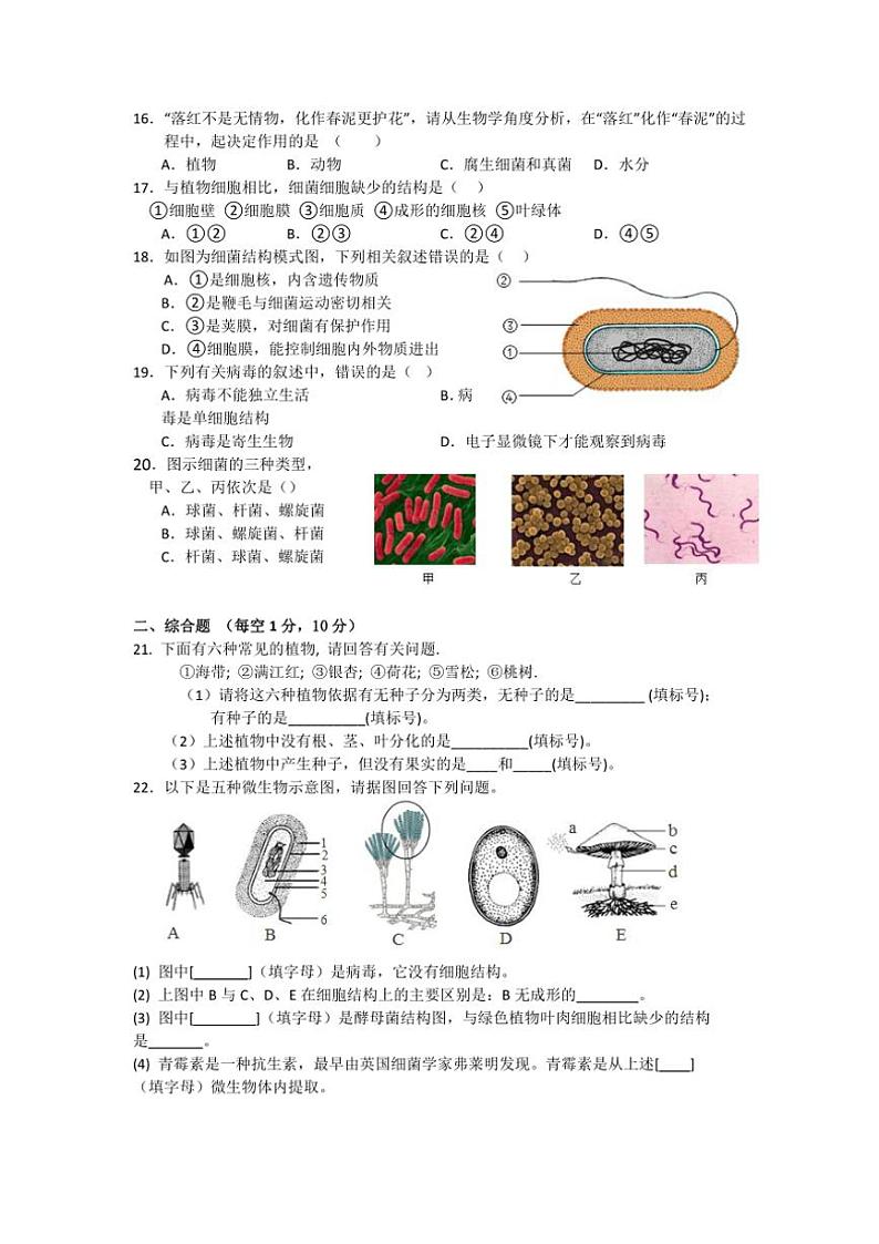 2024～2025学年江苏省盐城市大丰区飞达路初级中学七年级(上)12月月考生物试卷(含答案)第2页