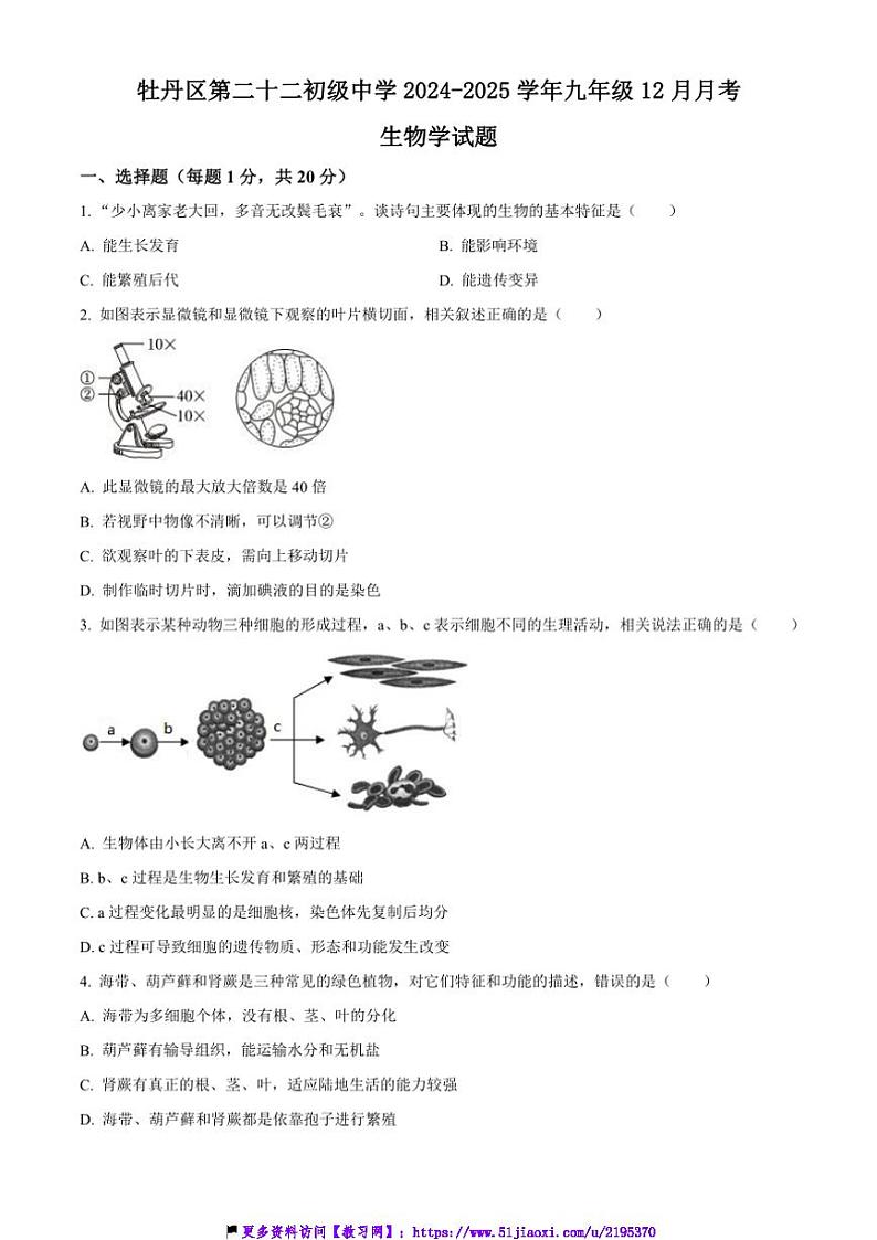 2024～2025学年山东省菏泽市牡丹区第二十二初级中学九年级上12月月考生物试卷(含答案)第1页