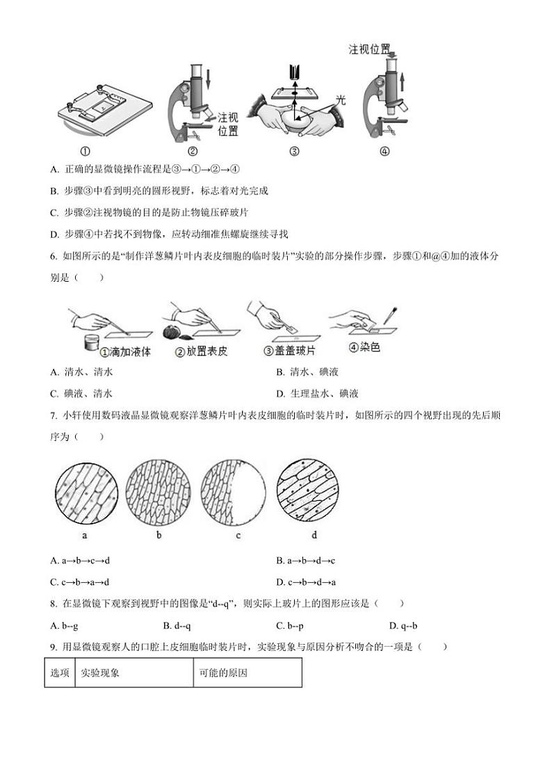 2024～2025学年广东省东莞市厚街海月学校七年级(上)期中生物试卷(含答案)第2页