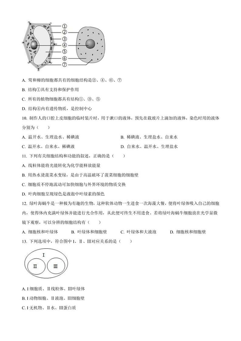2024～2025学年山东省临沂市河东区七年级(上)期中生物试卷(含答案)第3页
