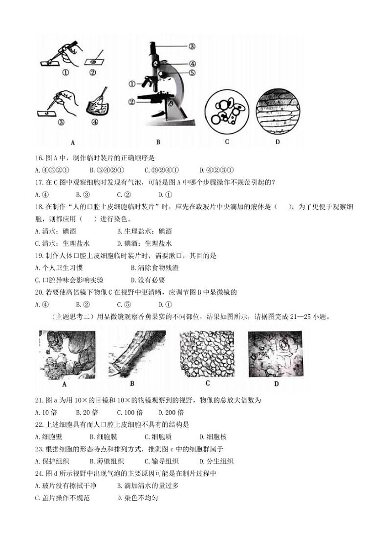 2024～2025学年广东省茂名市电白区七年级(上)期中生物试卷(含答案)第3页