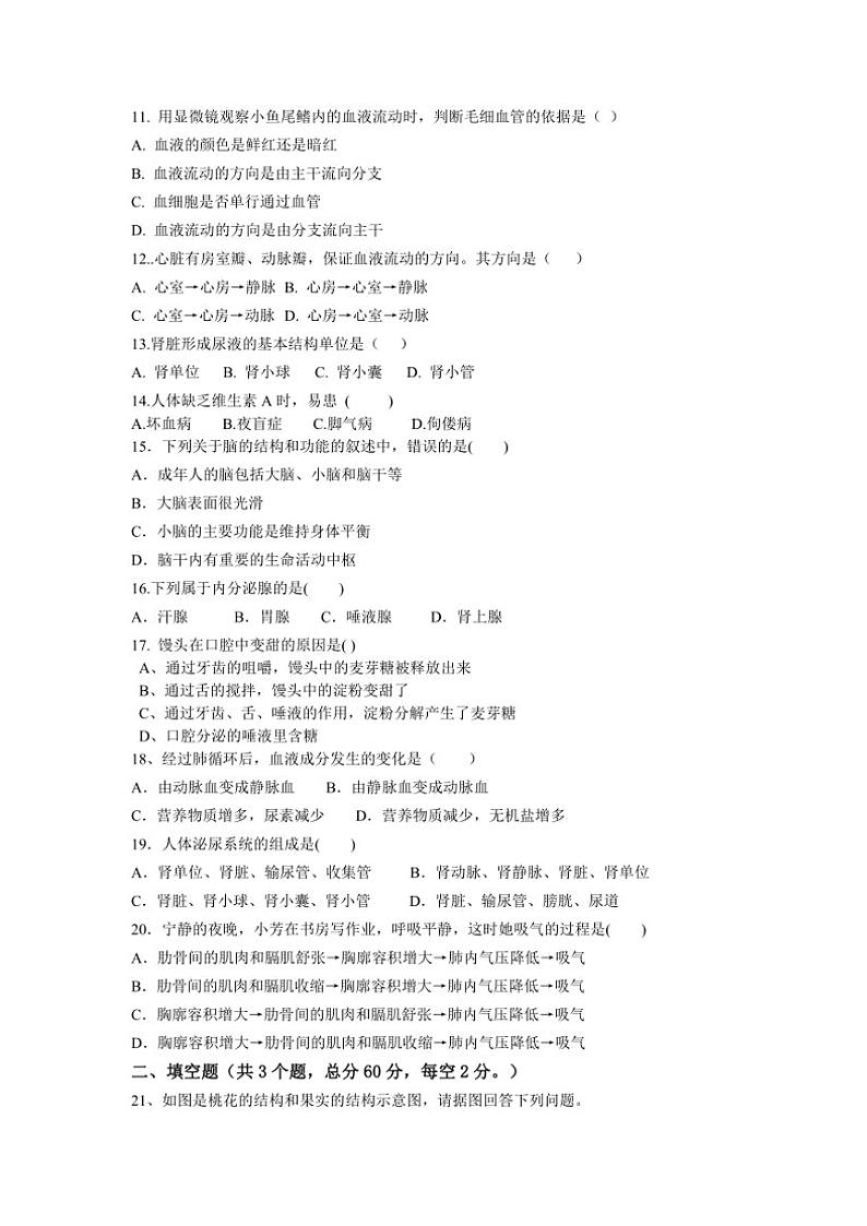 2024～2025学年四川省眉山市东坡区岷东新区八年级(上)期中生物试卷(含答案)第2页
