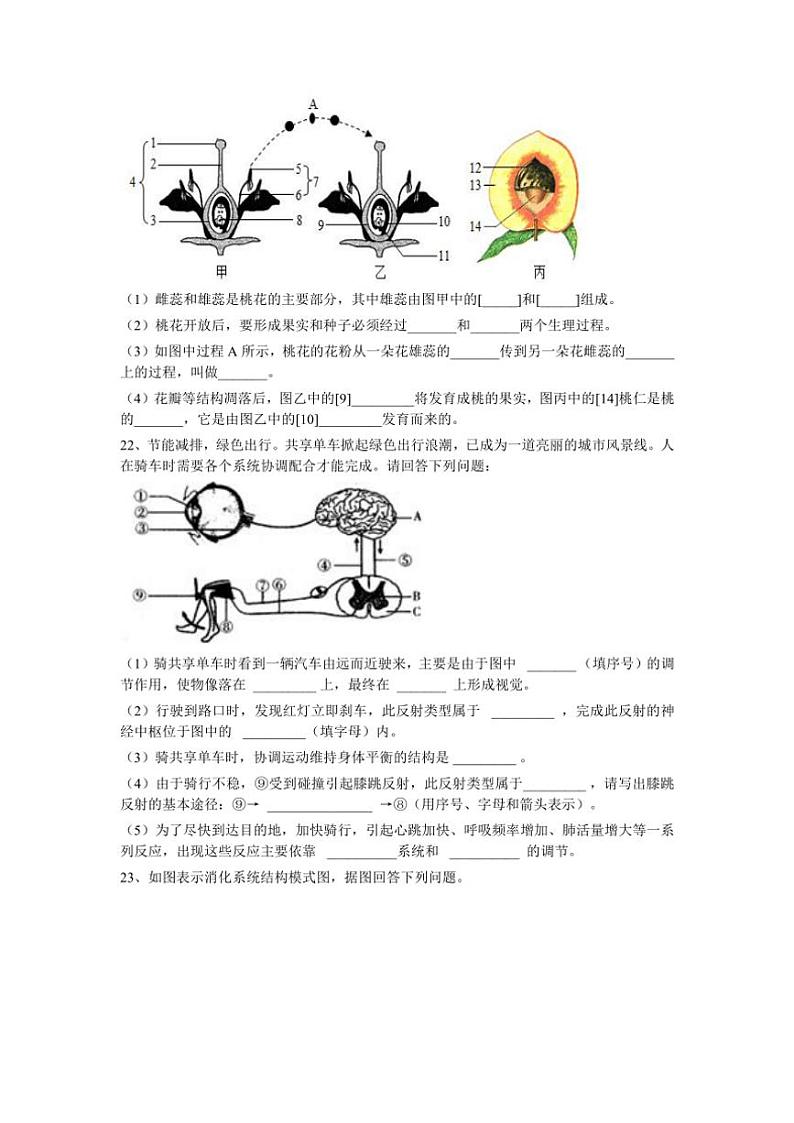 2024～2025学年四川省眉山市东坡区岷东新区八年级(上)期中生物试卷(含答案)第3页