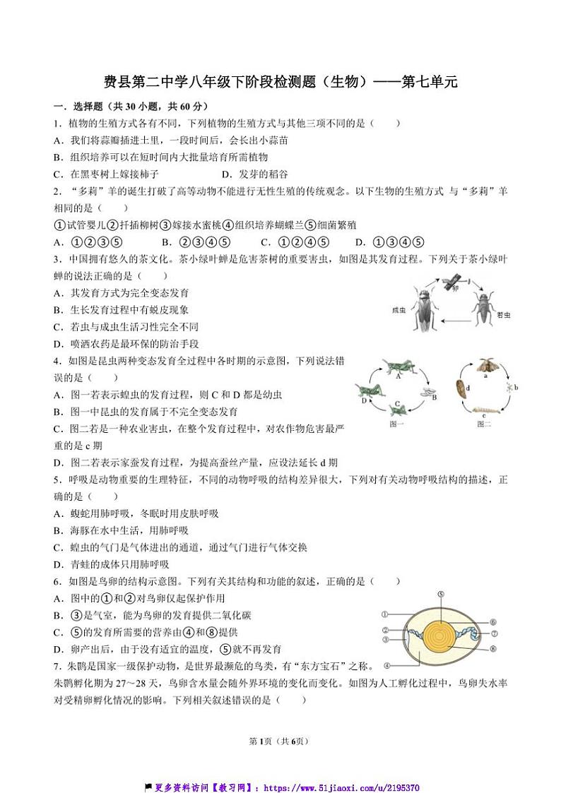 2024～2025学年山东省临沂市费县第二中学八年级(上)12月阶段检测生物试卷(含答案)第1页