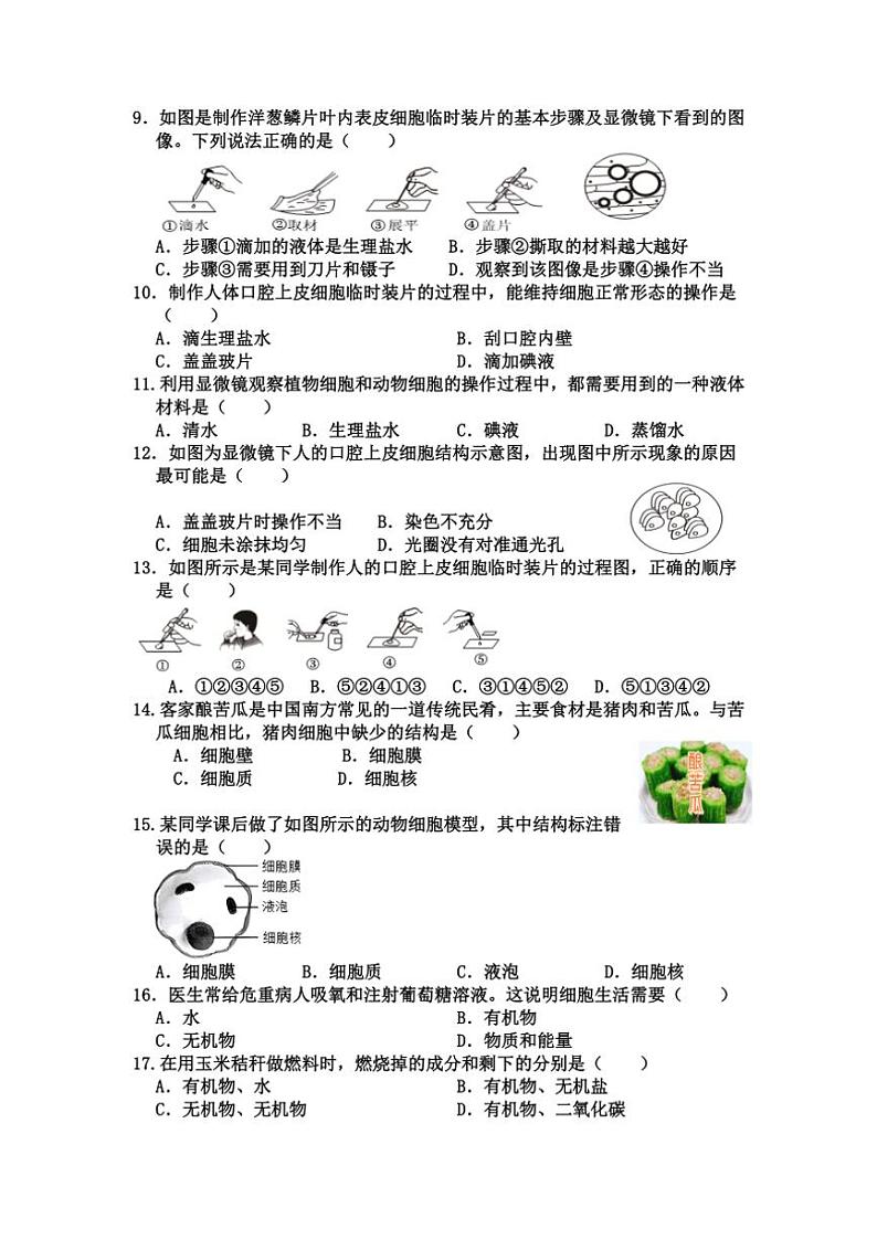2024～2025学年广东省河源市东源县七年级(上)期中生物试卷(含答案)第2页