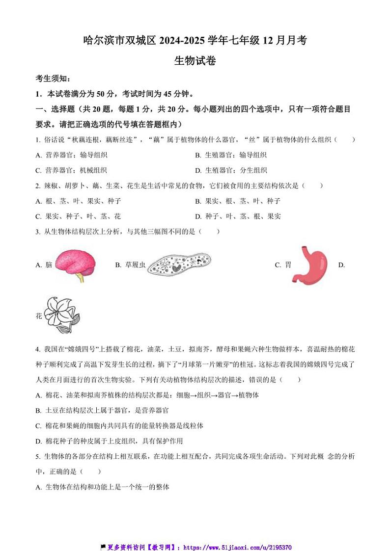2024～2025学年黑龙江省哈尔滨市双城区七年级上12月月考生物试卷(含答案)第1页