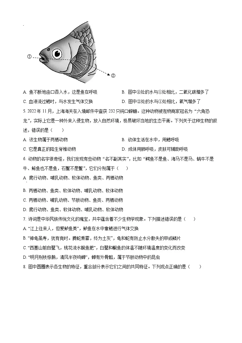 山东省临沂市蒙阴县2024-2025学年八年级上学期期中生物试题-A4第2页