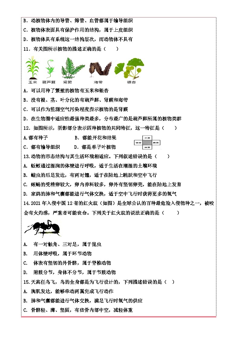 山东省齐河县潘店镇中学2024-2025学年七年级上学期期末学业检测模拟生物试卷 -A4第3页