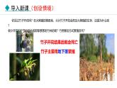 人教版（2024）八年级生物下册7.1.1植物的生殖精品课件