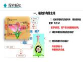 人教版（2024）八年级生物下册7.1.1植物的生殖精品课件