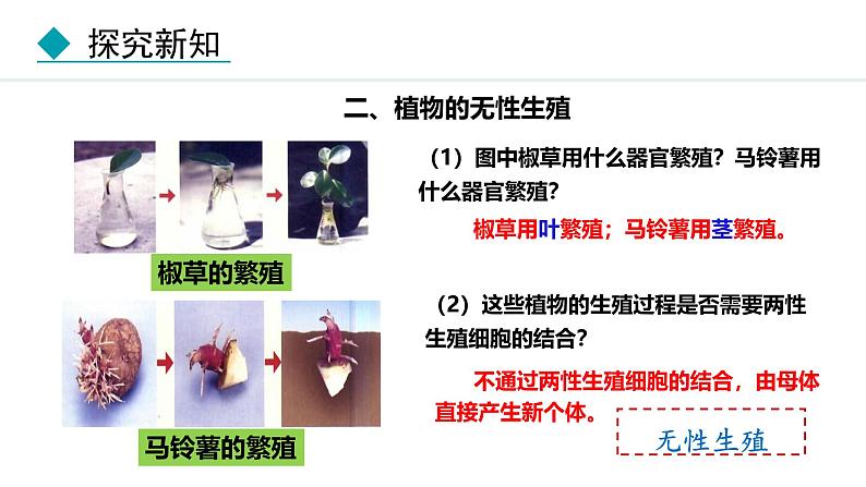 人教版（2024）八年级生物下册7.1.1植物的生殖精品课件第8页