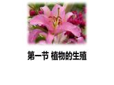 人教版（2024）八年级生物下册7.1.1植物的生殖精品ppt课件