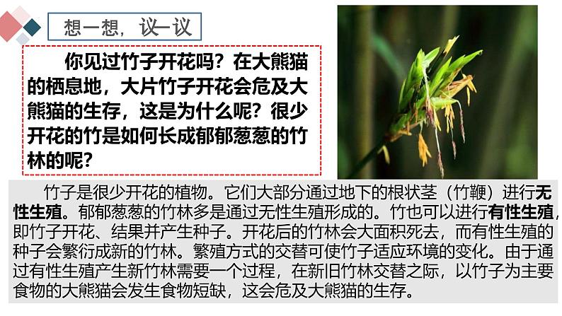 人教版（2024）八年级生物下册7.1.1植物的生殖精品ppt课件第2页