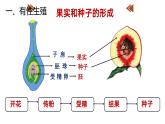 人教版（2024）八年级生物下册7.1.1植物的生殖精品ppt课件