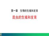 人教版（2024）八年级生物下册7.1.2昆虫的生殖和发育精品课件