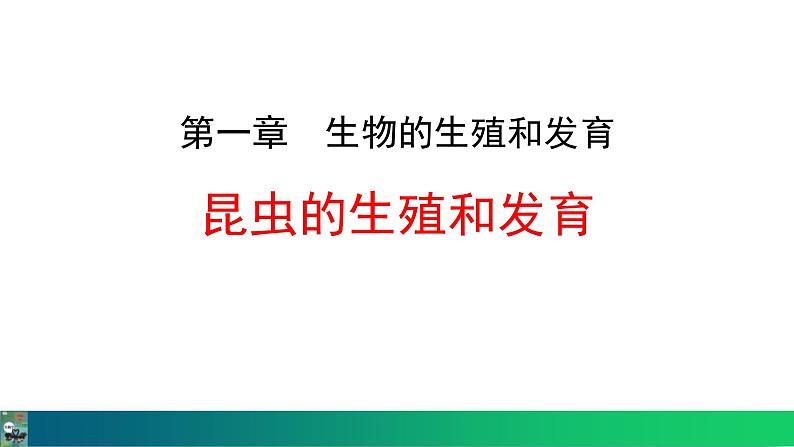 人教版（2024）八年级生物下册7.1.2昆虫的生殖和发育精品课件第1页