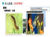 人教版（2024）八年级生物下册7.1.2昆虫的生殖和发育精品课件