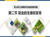 人教版（2024）八年级生物下册7.1.2昆虫的生殖和发育精品ppt课件