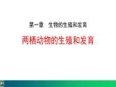 人教版（2024）八年级生物下册7.1.3两栖动物的生殖和发育精品课件